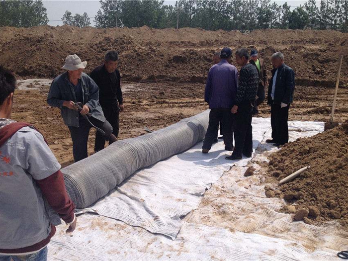 1644741324635880.jpg 1-1Z5061135155J.jpg